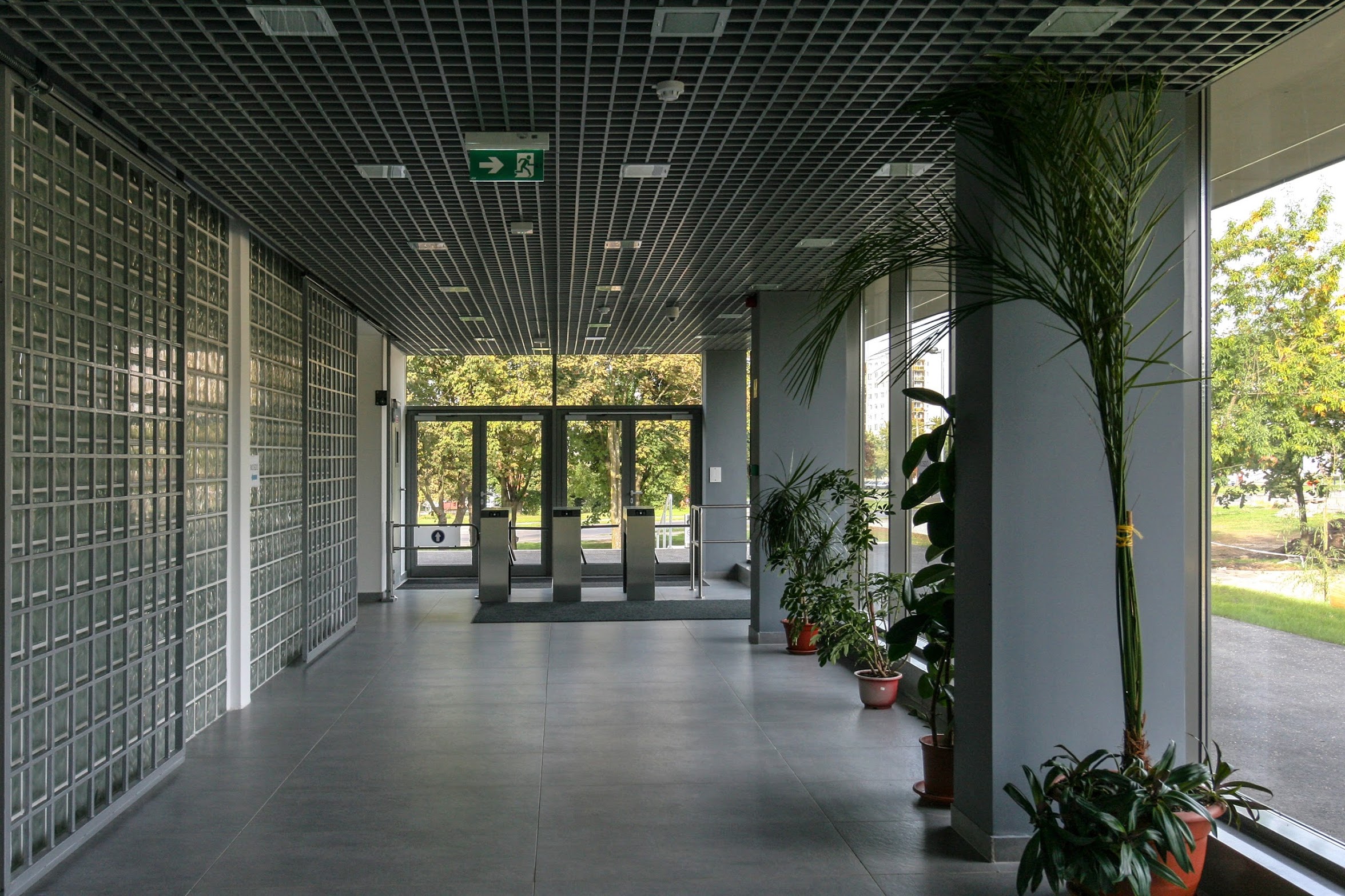 Rólunk
